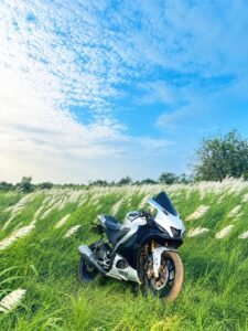 Grass background
